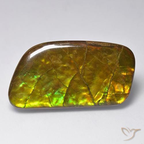 Ammolite Multicolore naturale da 23.24 ct, Taglio a fantasia, Opaco