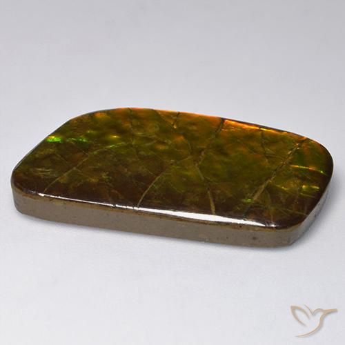 Ammolite Multicolore naturale da 23.24 ct, Taglio a fantasia, Opaco