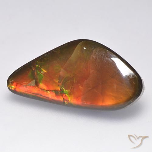Ammolite Multicolore naturale da 13.86 ct, Taglio a fantasia, Opaco