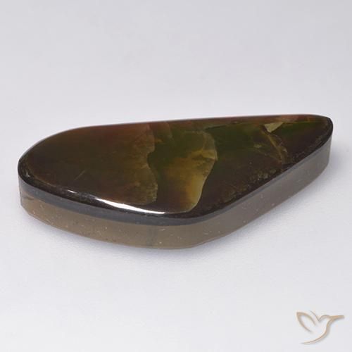 Ammolite Multicolore naturale da 13.86 ct, Taglio a fantasia, Opaco