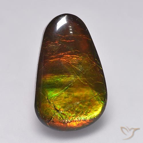 12.85ct Naturale Multicolore Ammolite, Taglio a fantasia, Opaco