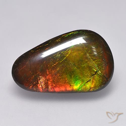 Ammolite Multicolore naturale da 12.85 ct, Taglio a fantasia, Opaco
