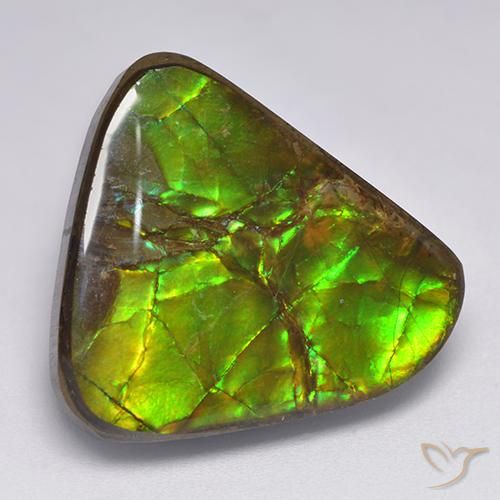 17.90ct Naturale Multicolore Ammolite, Taglio a fantasia, Opaco