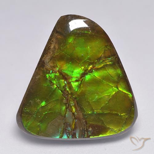 Ammolite Multicolore naturale da 17.90 ct, Taglio a fantasia, Opaco