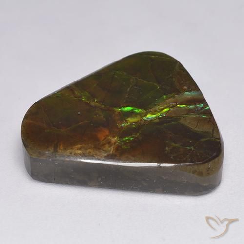 Ammolite Multicolore naturale da 17.90 ct, Taglio a fantasia, Opaco