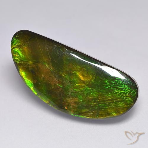 18.57ct Naturale Multicolore Ammolite, Taglio a fantasia, Opaco