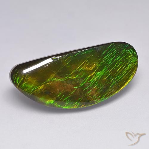 Ammolite Multicolore naturale da 18.57 ct, Taglio a fantasia, Opaco