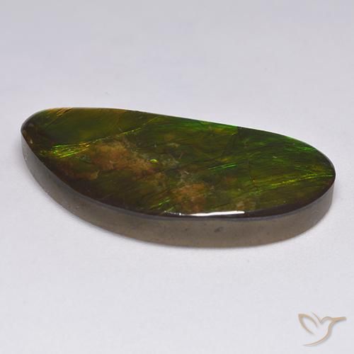 Ammolite Multicolore naturale da 18.57 ct, Taglio a fantasia, Opaco
