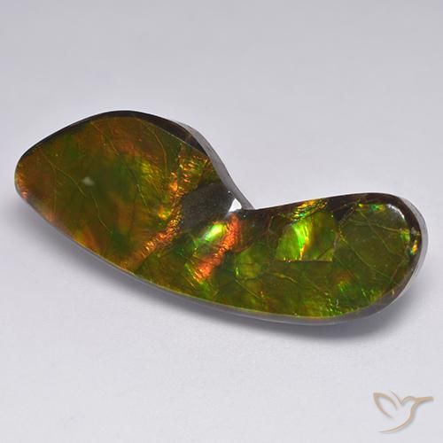 24.54ct Naturale Multicolore Ammolite, Taglio a fantasia, Opaco