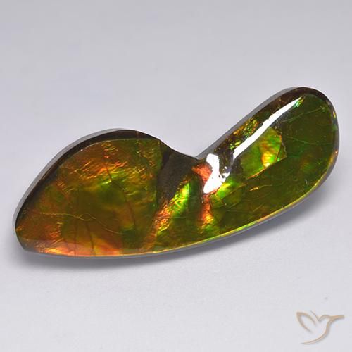 Ammolite Multicolore naturale da 24.54 ct, Taglio a fantasia, Opaco