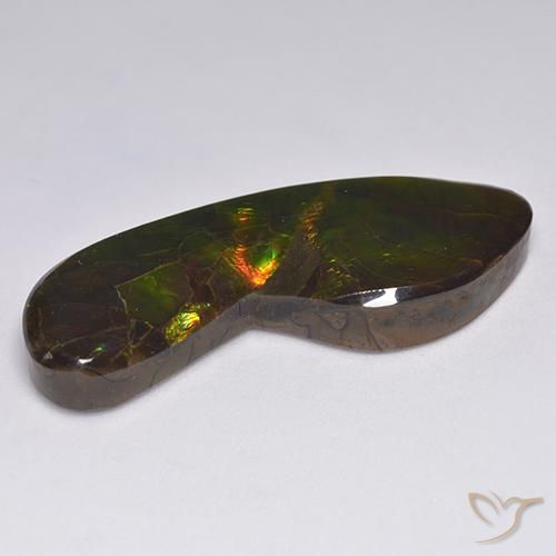 Ammolite Multicolore naturale da 24.54 ct, Taglio a fantasia, Opaco