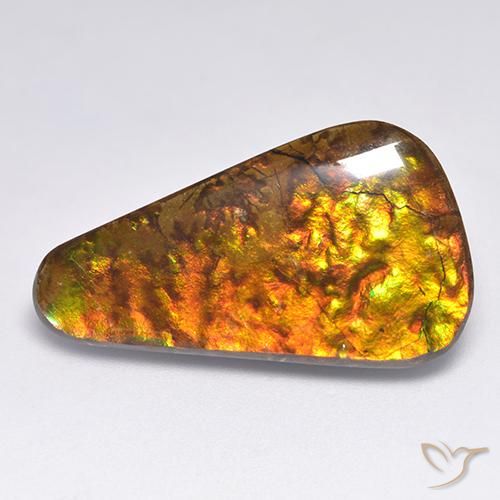 Ammolite Multicolore naturale da 18.34 ct, Taglio a fantasia, Opaco