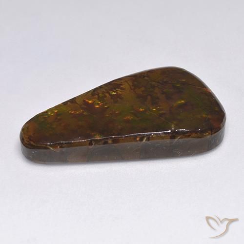 Ammolite Multicolore naturale da 18.34 ct, Taglio a fantasia, Opaco