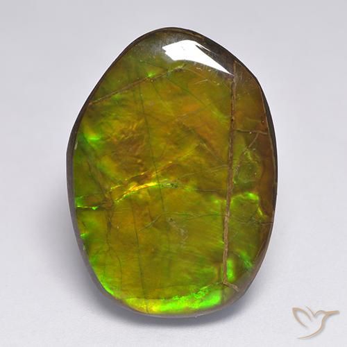 20.63ct Naturale Multicolore Ammolite, Taglio a fantasia, Opaco