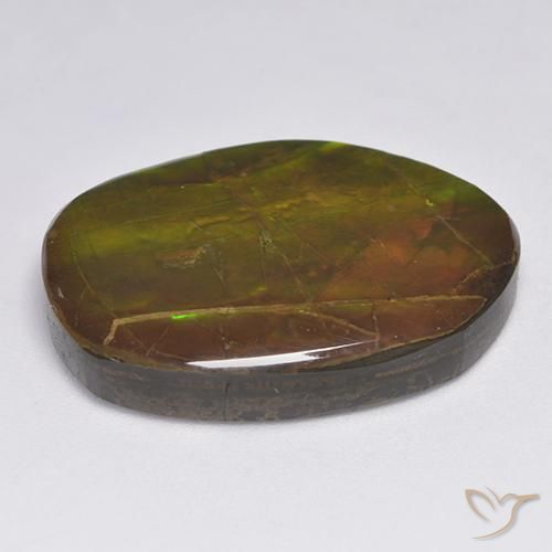 Ammolite Multicolore naturale da 20.63 ct, Taglio a fantasia, Opaco
