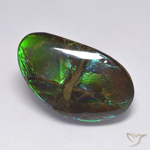 18.50ct Naturale Multicolore Ammolite, Taglio a fantasia, Opaco