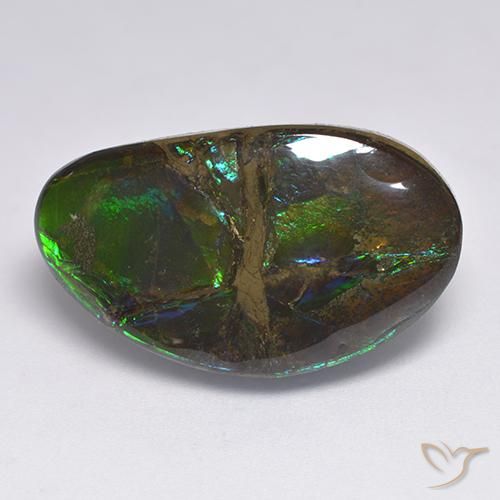 Ammolite Multicolore naturale da 18.50 ct, Taglio a fantasia, Opaco