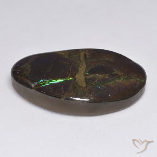 Ammolite Multicolore naturale da 18.50 ct, Taglio a fantasia, Opaco