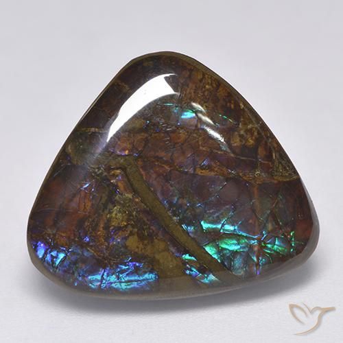 Ammolite Multicolore naturale da 14.06 ct, Taglio trillion, Opaco