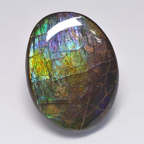 Ammolite multicolore naturale da 19,39 ct, forma fantasia, opaco