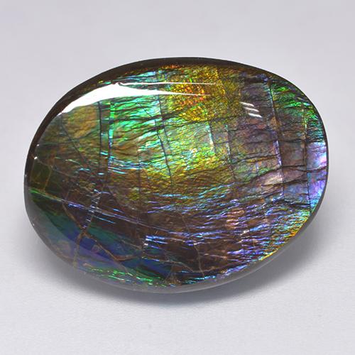 Ammolite multicolore naturale da 19,39 ct, forma fantasia, opaco