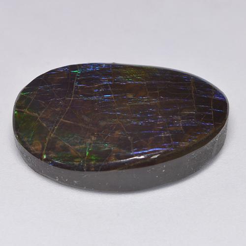 Ammolite multicolore naturale da 19,39 ct, forma fantasia, opaco
