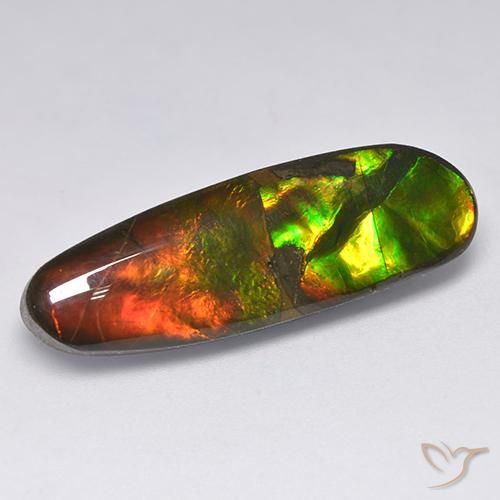 13.63ct Naturale Multicolore Ammolite, Taglio a fantasia, Opaco