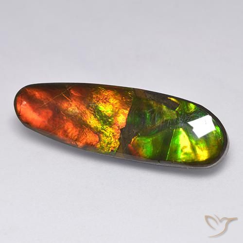 Ammolite Multicolore naturale da 13.63 ct, Taglio a fantasia, Opaco