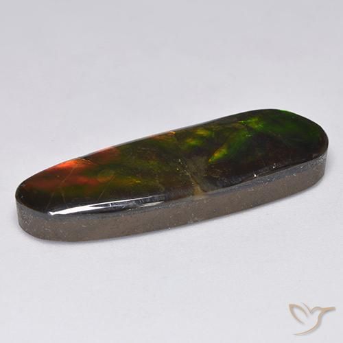 Ammolite Multicolore naturale da 13.63 ct, Taglio a fantasia, Opaco