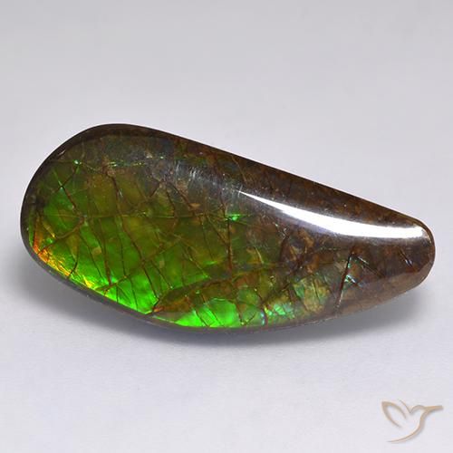 13.19ct Naturale Multicolore Ammolite, Taglio a fantasia, Opaco