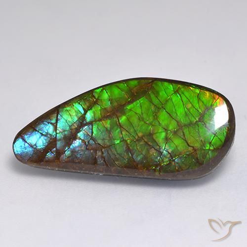 Ammolite Multicolore naturale da 13.19 ct, Taglio a fantasia, Opaco
