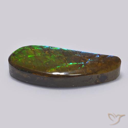 Ammolite Multicolore naturale da 13.19 ct, Taglio a fantasia, Opaco