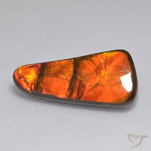 11.58ct Naturale Multicolore Ammolite, Taglio a fantasia, Opaco
