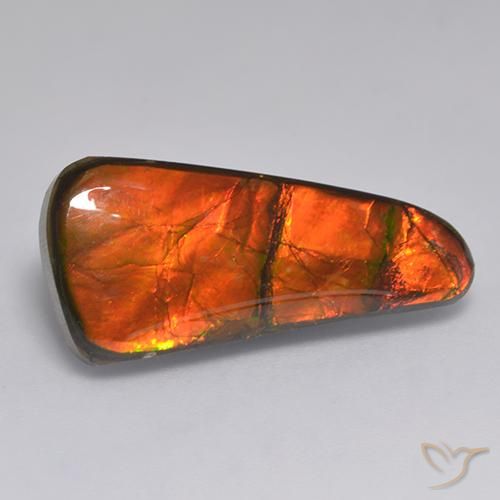 Ammolite Multicolore naturale da 11.58 ct, Taglio a fantasia, Opaco