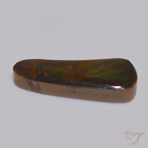 Ammolite Multicolore naturale da 11.58 ct, Taglio a fantasia, Opaco