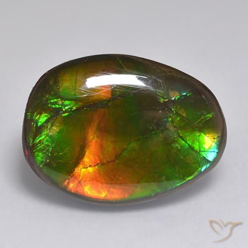14.86ct Naturale Multicolore Ammolite, Taglio a fantasia, Opaco
