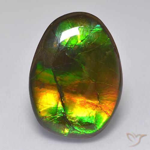 Ammolite Multicolore naturale da 14.86 ct, Taglio a fantasia, Opaco