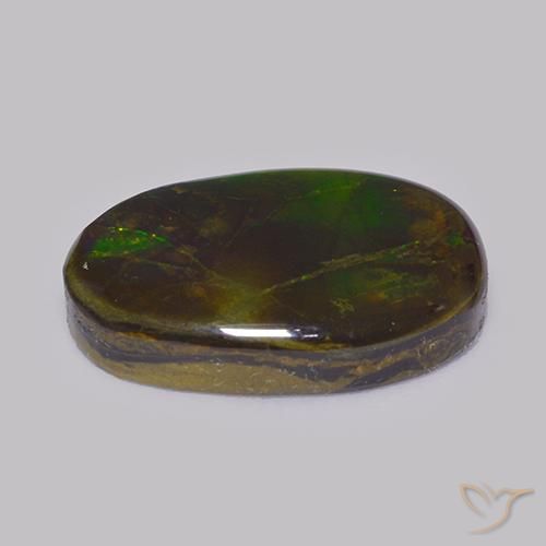 Ammolite Multicolore naturale da 14.86 ct, Taglio a fantasia, Opaco