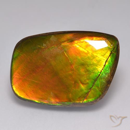 21.59ct Naturale Multicolore Ammolite, Taglio a fantasia, Opaco