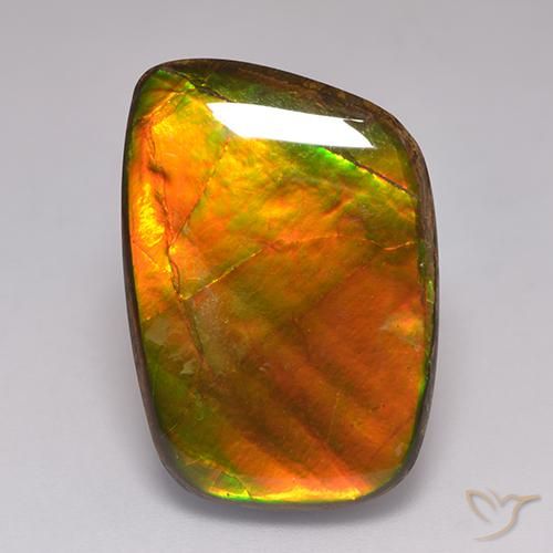 Ammolite Multicolore naturale da 21.59 ct, Taglio a fantasia, Opaco