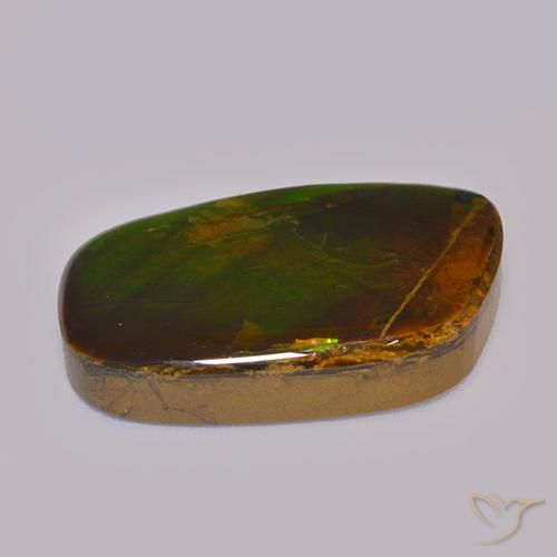 Ammolite Multicolore naturale da 21.59 ct, Taglio a fantasia, Opaco