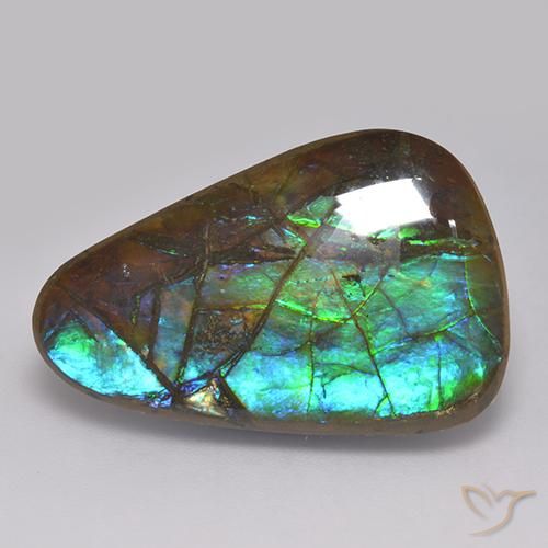 17.82ct Naturale Multicolore Ammolite, Taglio a fantasia, Opaco