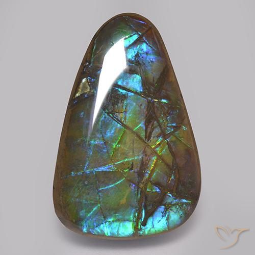 Ammolite Multicolore naturale da 17.82 ct, Taglio a fantasia, Opaco