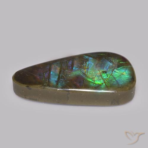 Ammolite Multicolore naturale da 17.82 ct, Taglio a fantasia, Opaco
