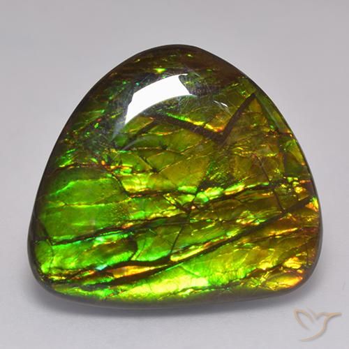20.62ct Naturale Multicolore Ammolite, Taglio a fantasia, Opaco