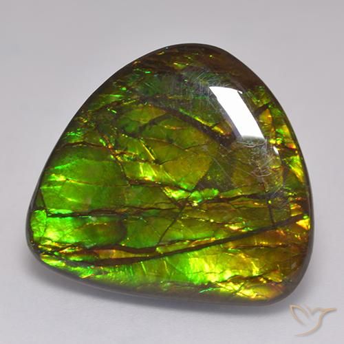 Ammolite Multicolore naturale da 20.62 ct, Taglio a fantasia, Opaco