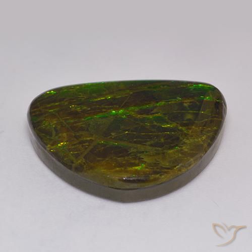 Ammolite Multicolore naturale da 20.62 ct, Taglio a fantasia, Opaco