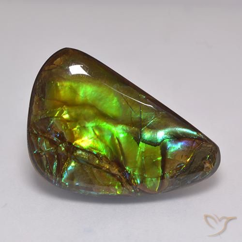 19.60ct Naturale Multicolore Ammolite, Taglio a fantasia, Opaco