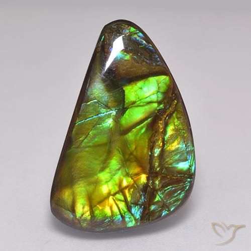 Ammolite Multicolore naturale da 19.60 ct, Taglio a fantasia, Opaco