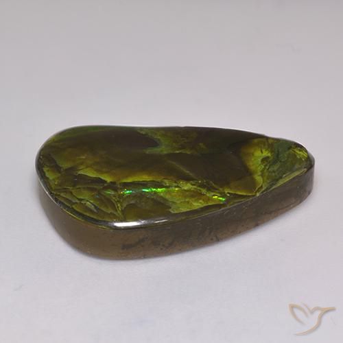 Ammolite Multicolore naturale da 19.60 ct, Taglio a fantasia, Opaco